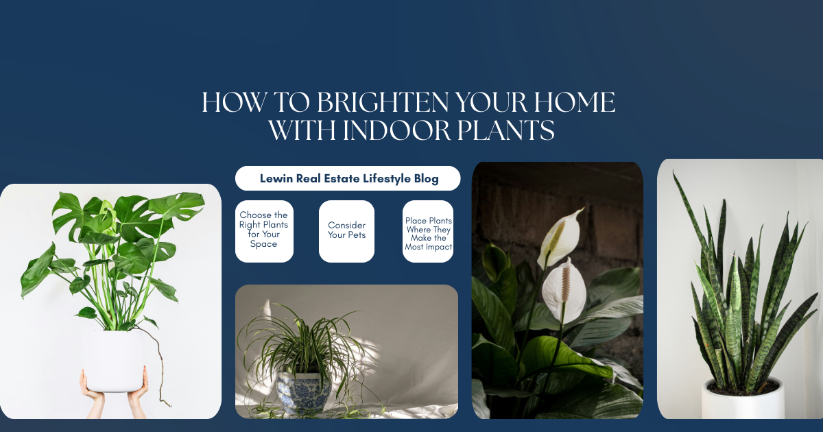 How to Brighten Your Home with Indoor Plants